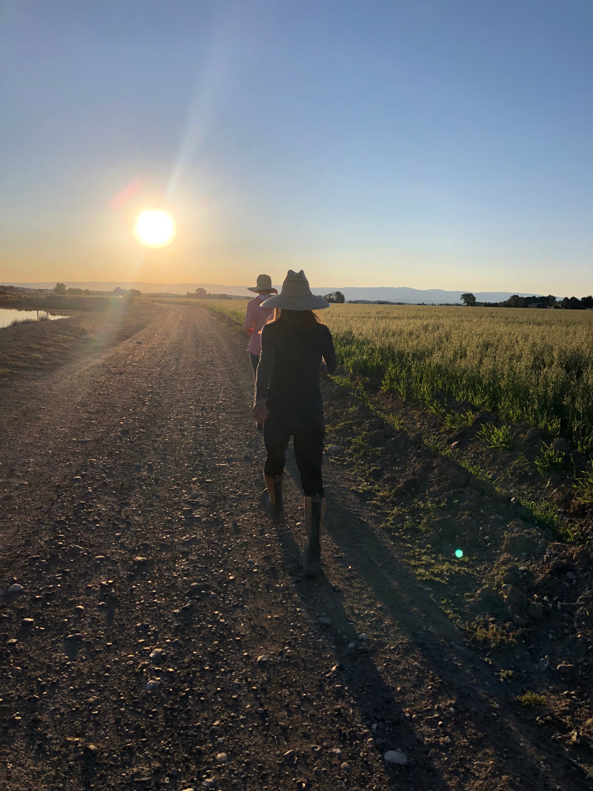 Point of View Segment: Field inspection with Ellie Glassford