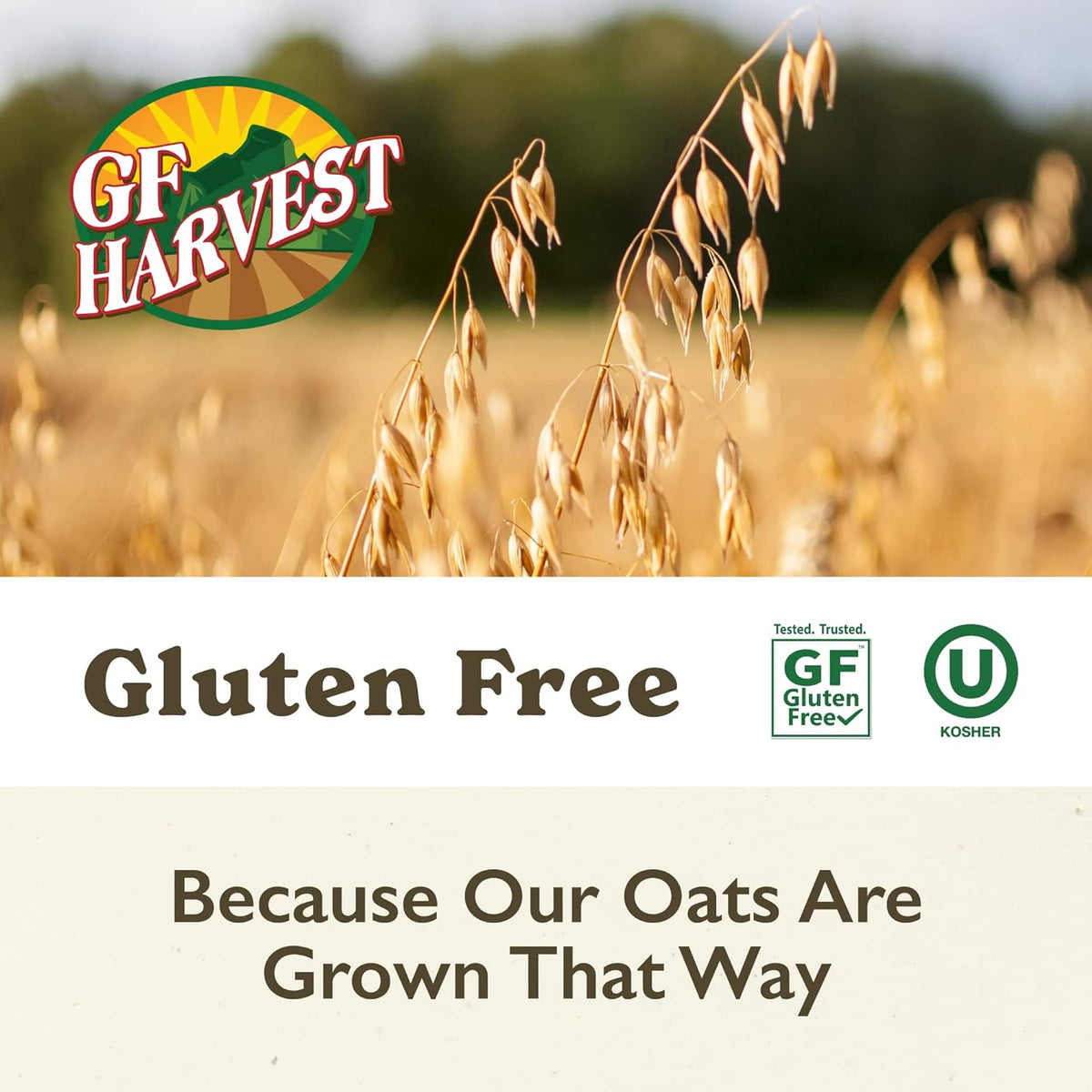 Gluten-Free Quick Cooking Oats (2 pack, 4lbs total)