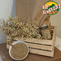 ORGANIC Gluten Free Oat Groats 25lbs
